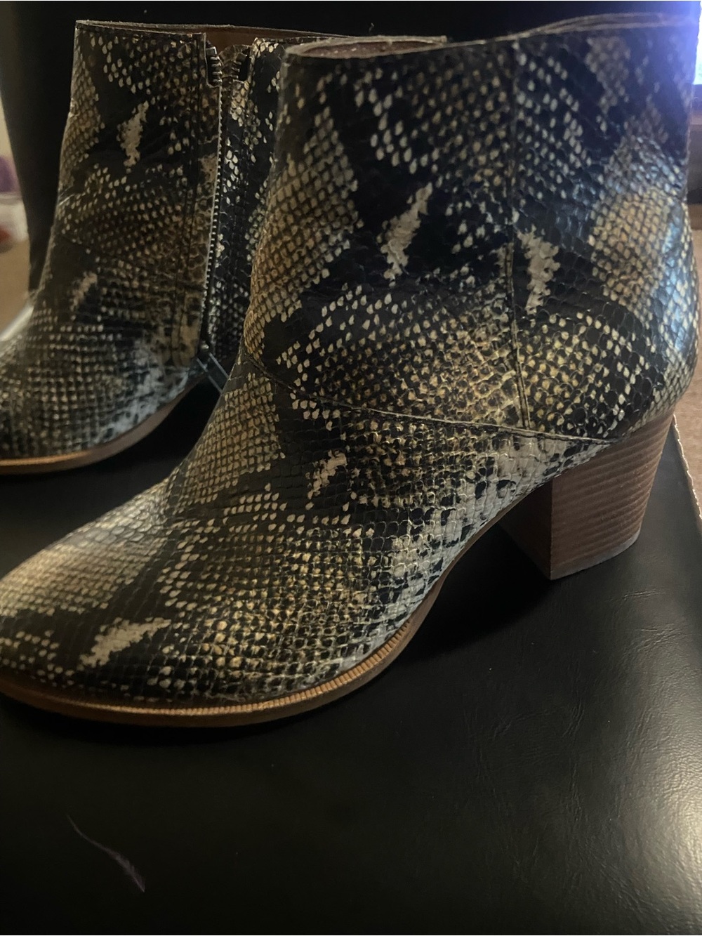 Madewell Snake-Print Ankle Booties in Black and Cream